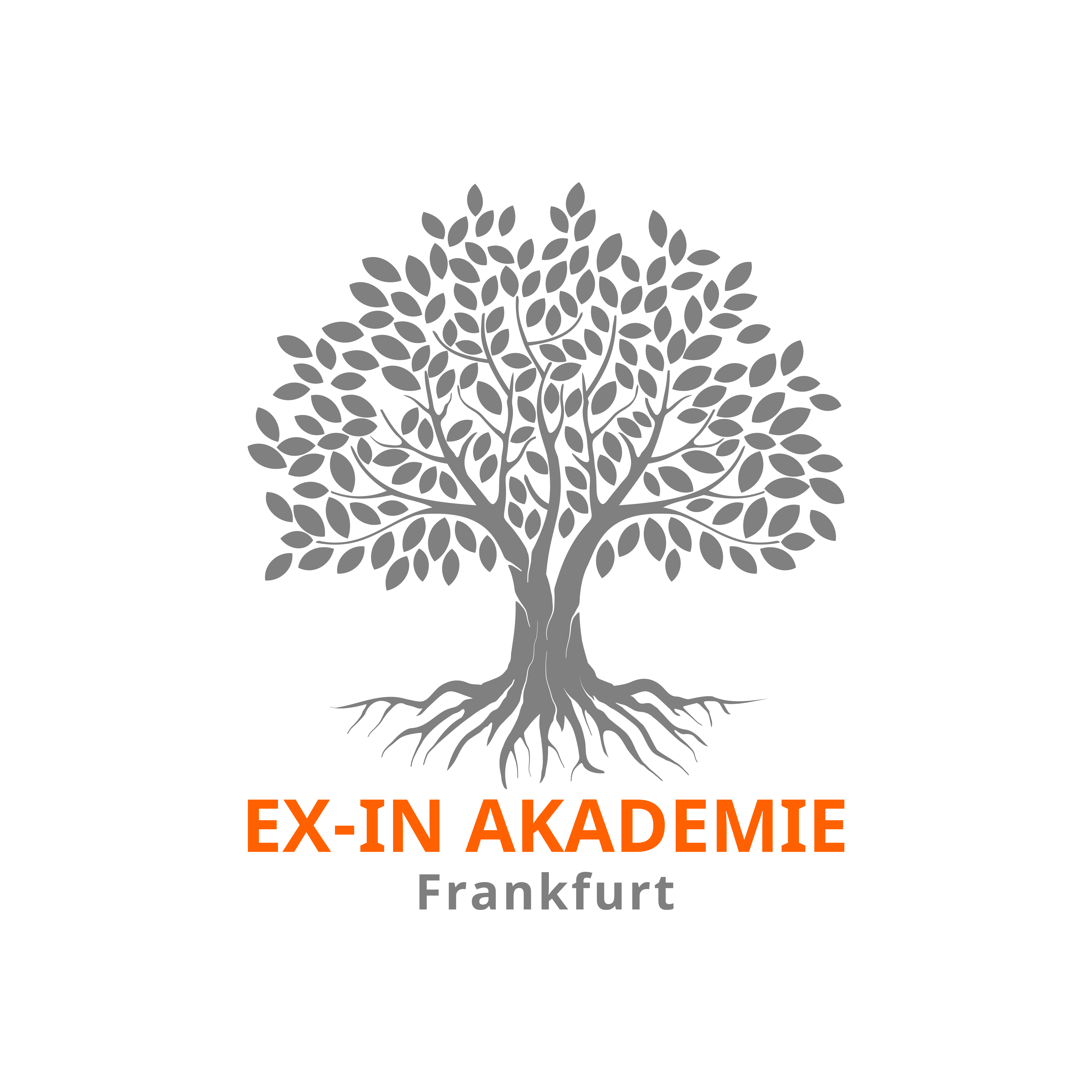 EX-IN Akademie